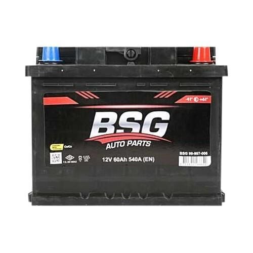 BSG 99-997-006 | Akü ( 12V 60Ah L2 Düz Smf Exmet Ind Sulu ) 242X1
