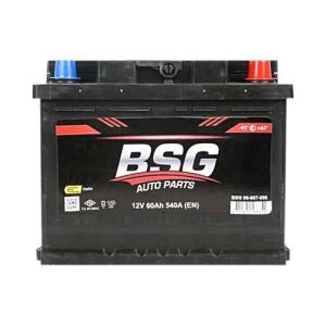 BSG 99-997-006 | Akü 12V 60Ah 540A L2 (242 × 175 × 190 mm)