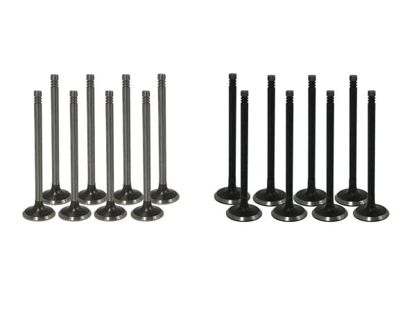 Opel Frontera A 2.2 Benzinli Supap Takımı Ioto