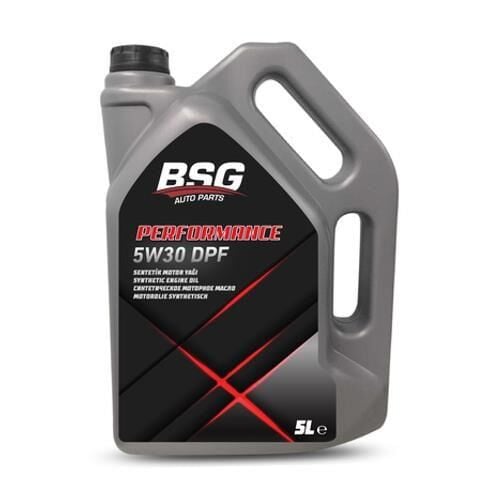 BSG 99-998-004 | Syntech 5W-30 5 Litre Motor Yağı