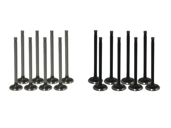 Opel Astra F 2.0 Benzinli Supap Takımı Ioto