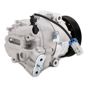 DELPHI TSP0155967 | Opel Meriva B 1.3 Dizel Klima Kompresörü Delphi