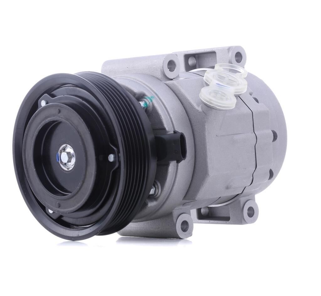 MAGNETI MARELLI 359002000920 | Opel Antara 2.0 Dizel Klima Kompresörü