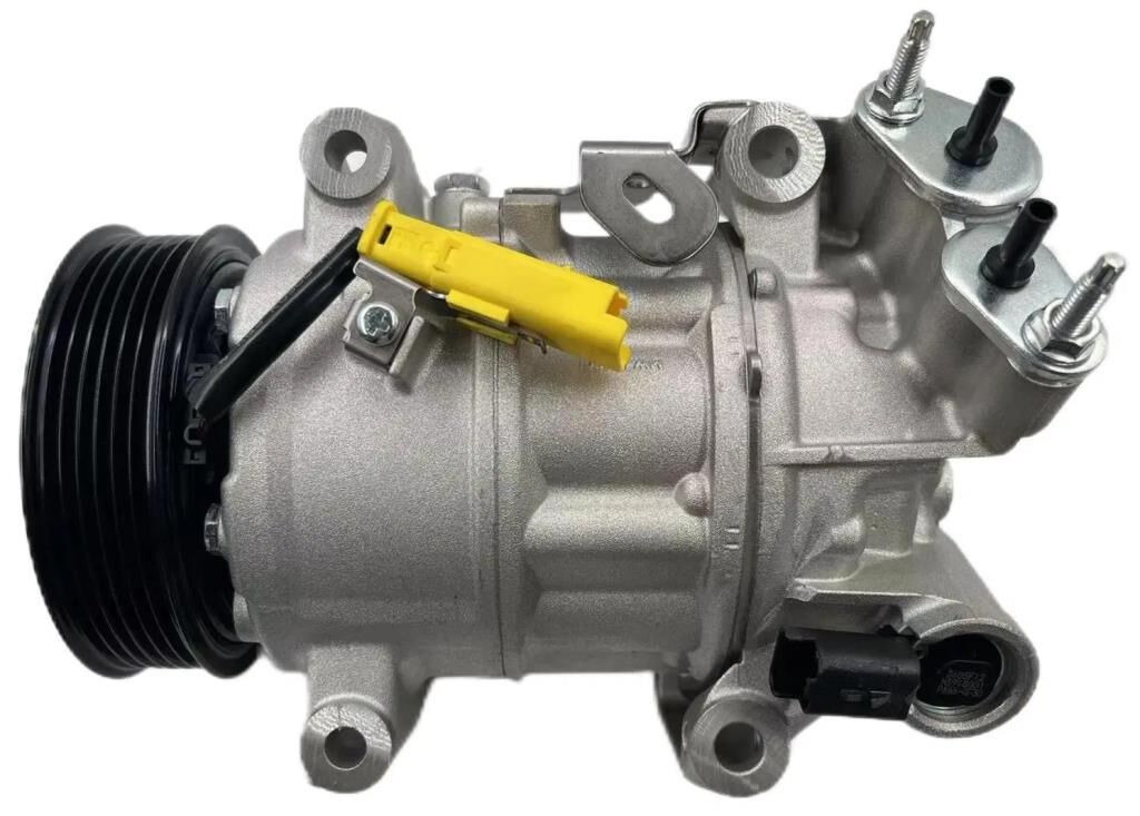 BEHR ACP 1613 000P | DS4 Klima Kompresörü