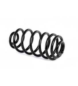 BSG 65-305-023 | Chevrolet Cruze Arka Helezon Yay (1 Adet)