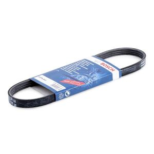 BOSCH 1987946123 | Opel İnsignia A 1.6 Benzinli Direksiyon Kayışı