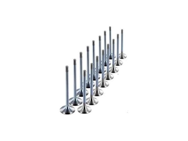 Chevrolet Cruz 1.4 Turbo Çelik Subap Takımı Sunex Marka