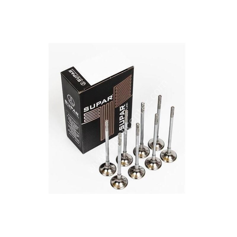 Opel Antara 2.0 Dizel Subap Takımı Supar