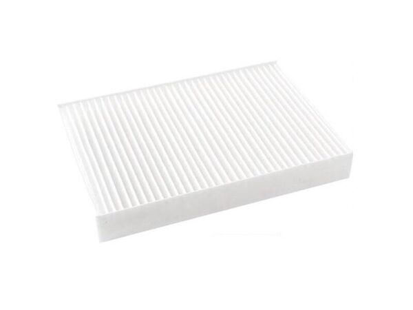 BSG 65-145-004 | Opel Astra G Polen Filtresi